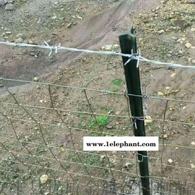 【豪亮】 大量现货 围栏网 家用养殖网 牧场防护网 防护网图片图4