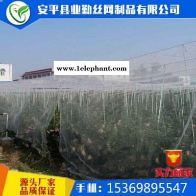 安平防雹网厂供应 白色 果园防雹网丨葡萄防雹网丨桃树防雹网丨冰雹防护网丨防冰雹网图7