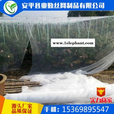 安平防雹网厂供应 白色 果园防雹网丨葡萄防雹网丨桃树防雹网丨冰雹防护网丨防冰雹网图5