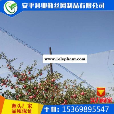 安平防雹网厂供应 白色 果园防雹网丨葡萄防雹网丨桃树防雹网丨冰雹防护网丨防冰雹网图4