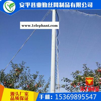 安平防雹网厂供应 白色 果园防雹网丨葡萄防雹网丨桃树防雹网丨冰雹防护网丨防冰雹网图6
