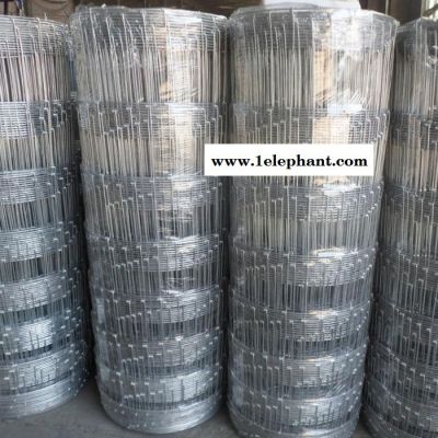 【豪亮】 价格优惠 新型防护网 家用养殖网 牧场防护网 牛栏网报价图2