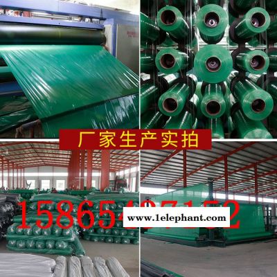 乾昇多型号,支持定做 安全网 建筑密目网 防护网 红色白色黑色蓝色黄色网灰色安全网 盖土网 草坪网图6