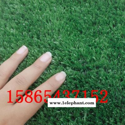 乾昇多型号,支持定做 安全网 建筑密目网 防护网 红色白色黑色蓝色黄色网灰色安全网 盖土网 草坪网图8