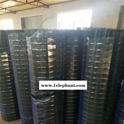养殖网养鸡网浸塑防护网荷兰网 果园防护荷兰网圈地铁丝网围栏加粗厂家批发图5