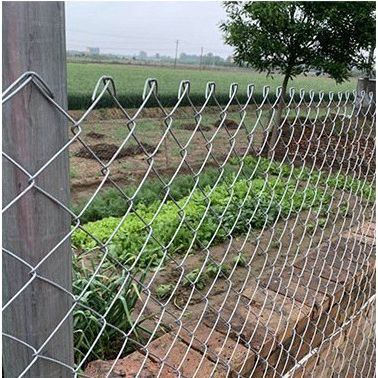 养殖镀锌菱形围栏网A勾花护栏网A牛羊隔离防护网厂家 养殖围栏网