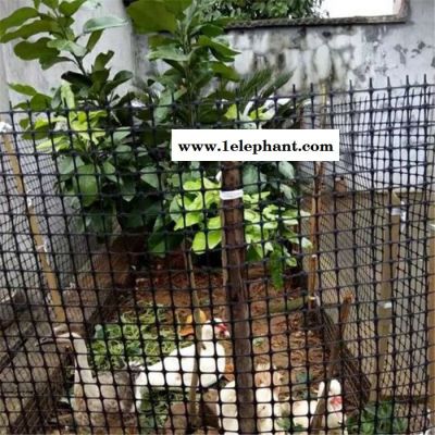 拓林 湖南塑料养殖网 厂家供应鸡鸭漏粪网 农用围栏挡墙防护网有哪些规格图2