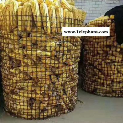 拓林 湖南塑料养殖网 厂家供应鸡鸭漏粪网 农用围栏挡墙防护网有哪些规格图7
