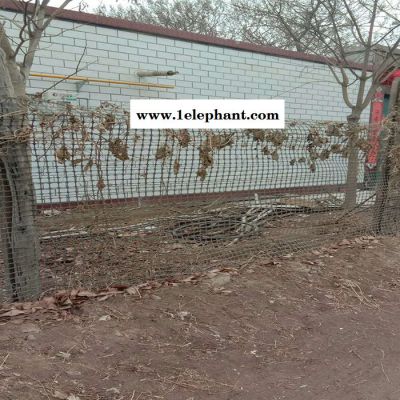 拓林 湖南塑料养殖网 厂家供应鸡鸭漏粪网 农用围栏挡墙防护网有哪些规格图4