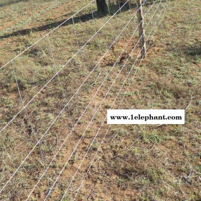 【豪亮】 长期供应 草原防护网 钢丝牛栏网 畜牧养殖网 防护网图片