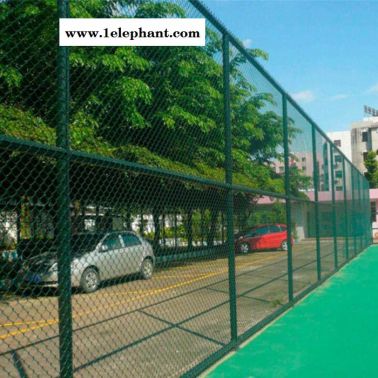 泰隆 球场围网 足球场围栏网 篮球场防护网 网球球场围网价格 球场围网厂家直供