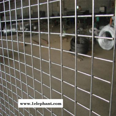 钢丝网围栏   养鸡围栏网隔离网   防锈铁丝网    防护网  围鸡网   网格网养鸡