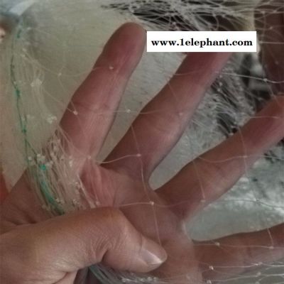 【龚祥】 果园防鸟网  枸杞子防鸟网 30米宽谷子防护网 40米宽尼龙防鸟网现货图6