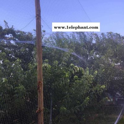 龚祥  葡萄网果园防鸟网 防护网 泥鳅鱼塘防鸟网 天网养殖网图5