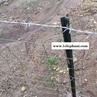 【豪亮】 现货供应 草原防护网 牲畜养殖围栏网 钢丝草原养殖网 防护网图片图2