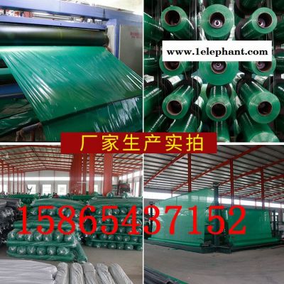 乾昇多种型号，支持定做 安全网 建筑密目网 防护网 红色白色黑色蓝色黄色网灰色安全网 盖土网 草坪网图2