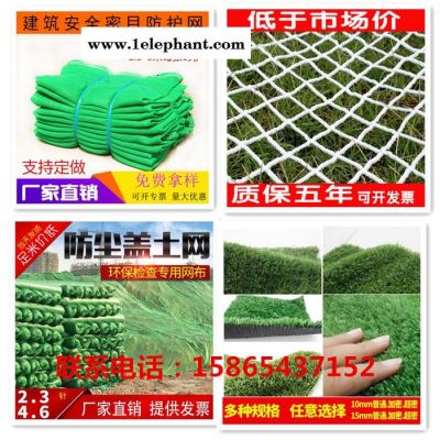 乾昇多种型号，支持定做 安全网 建筑密目网 防护网 红色白色黑色蓝色黄色网灰色安全网 盖土网 草坪网图6