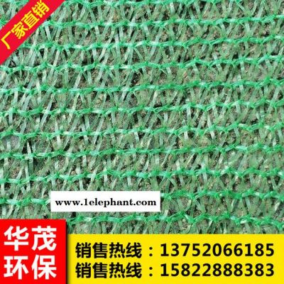 绿化防尘网 密目网 防尘绿化网 工程防护网图1