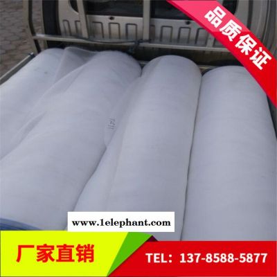 【龚祥】现货销售  **乙烯网20目 乙烯防虫网 30目防蚊虫纱网 大棚防护网农业 品质保证 **价廉图3