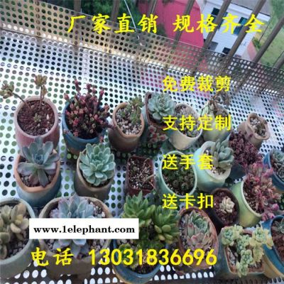 万凯阳台花架垫板 护栏防盗窗垫板 透气防护网垫 圆孔冲孔网 不锈钢洞洞网 多肉垫板 万凯阳台花架垫板 护栏防盗窗垫板 透气防护网垫 圆孔冲孔网 不锈钢洞洞网 多肉垫板
