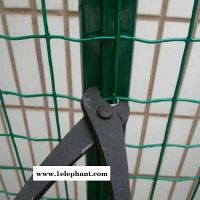 荷兰网养鸡围栏网现货种植养殖铁丝防护网图7