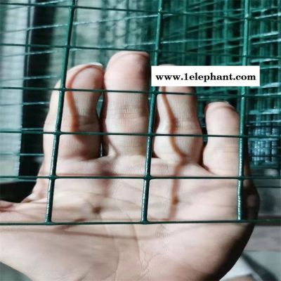 荷兰网养鸡围栏网现货种植养殖铁丝防护网图2