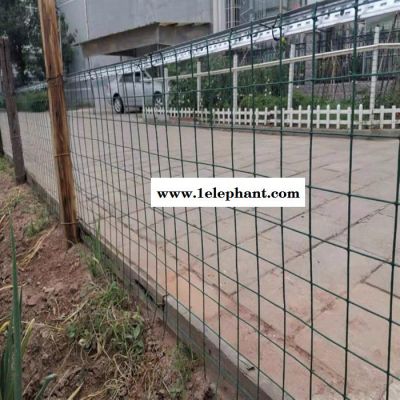 荷兰网养鸡围栏网现货种植养殖铁丝防护网图5
