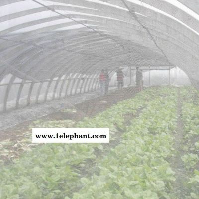 铭湾 防虫网  果树防虫网 防护网 养殖网 河北防虫网图3