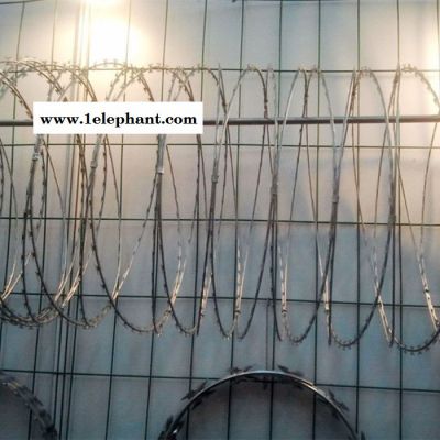 ** 喷塑刺绳 滚笼刀片刺绳 刺绳防护网 刀片刺绳防护网 刺绳厂图4