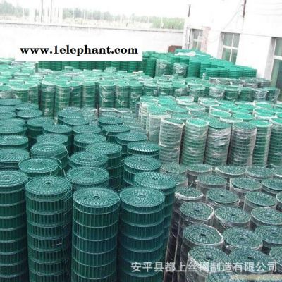 现货直销 **荷兰网 防护网 浸塑电焊网图2