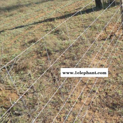 【豪亮】 常年供应 草原网 牧场围网 防护网 草原网供应