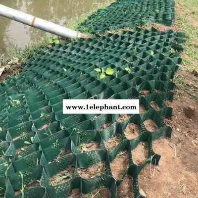 坡面防护网格 种草绿化蜂窝土工格室图5