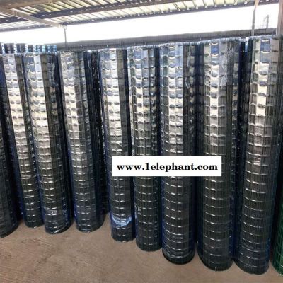 新佳现货供应 荷兰网 浸塑荷兰网养殖防护网图2