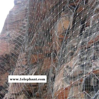盛达 菱形蜘蛛网现货 安全防护网 护坡网