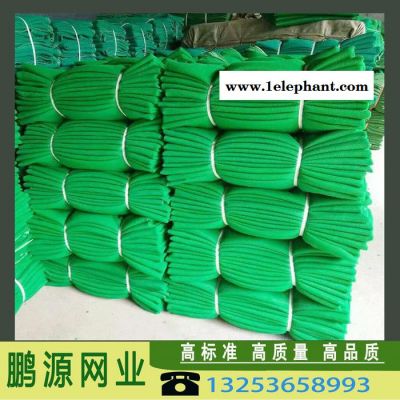 鹏源 建筑防护安全网 批发 工地专用网 工地美化抑尘密目防护网图2