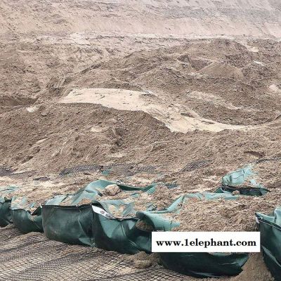 拓林 300g塑料土工格栅 安平挡墙围栏防护网 路基加固塑料格栅图3