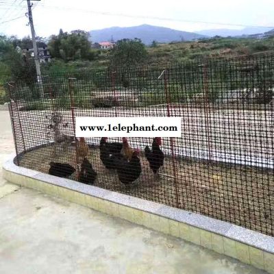拓林 300g塑料土工格栅 安平挡墙围栏防护网 路基加固塑料格栅图2