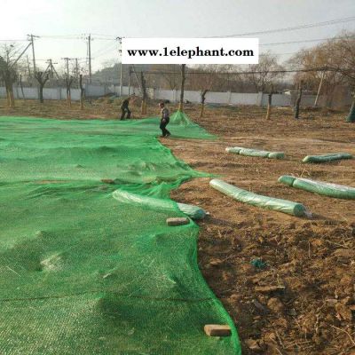 北京厂家批发盖土防尘网 防尘网价格 防尘网标准  800目防尘网  防尘网生产厂家图2