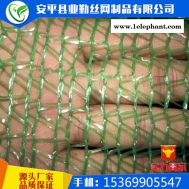 防尘盖土网 工地盖土防尘网绿色六针防尘网 环保检查覆盖网绿网 现货供应