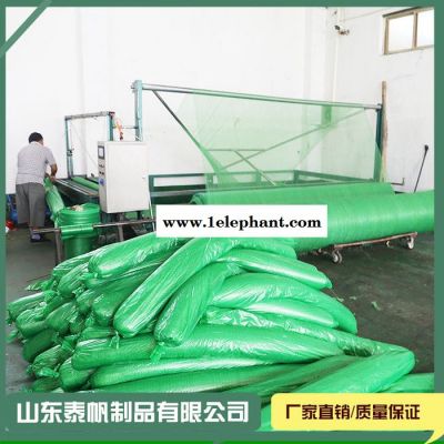 泰帆 盖土防尘网  价格 厂家 批发图4