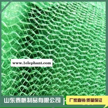 泰帆 盖土防尘网  价格 厂家 批发
