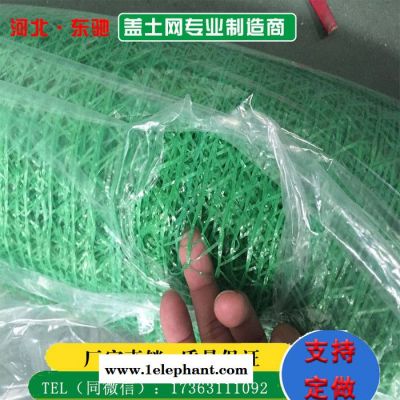 工地加密盖土网-绿色防尘盖土网-盖土防尘网-东驰盖土网订做批发图2
