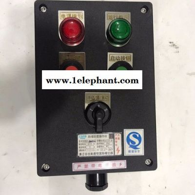 中沈防爆FZC 内蒙古那里有防水防尘防腐操作柱FZC-A2D2K1G 壁挂式防水防尘防腐箱 fzc-a2d2b1k1g图2