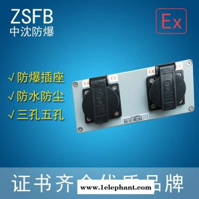 中沈防爆ac-15 防爆工业插座10孔西安那里有防水防尘防爆插座双联插座 明装暗装 ip65 IIB级 5孔工业插座图3