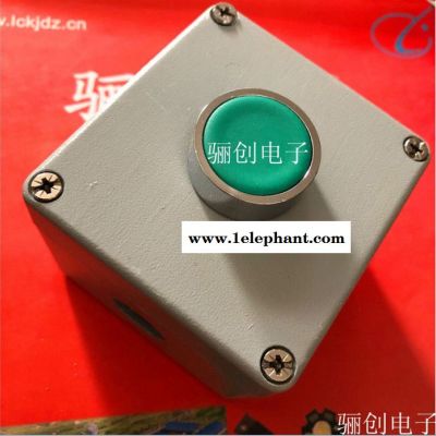 户外防雨事故按钮 XJA-1SBGE20B 防水防尘 骊创库房现货图6