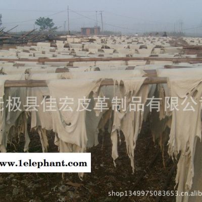 牛皮，土黄，金黄，劳保手套皮。肚边皮，牛头皮图2