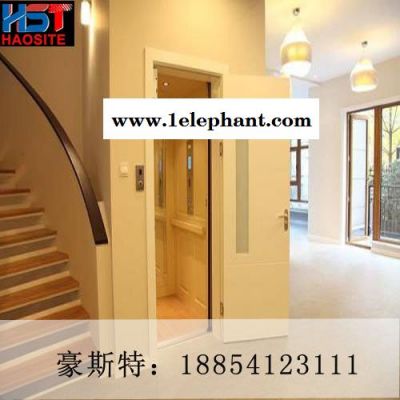 豪斯特SJG 观光升降机图3