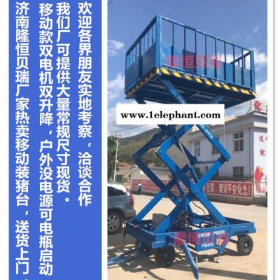 隆恒贝瑞SJD 地磅升降机 移动式 上猪台 电动升降猪样猪台图2