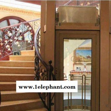 济南生产定制曳引电梯固定式升降台玻璃观光轿厢家用升降机300kg