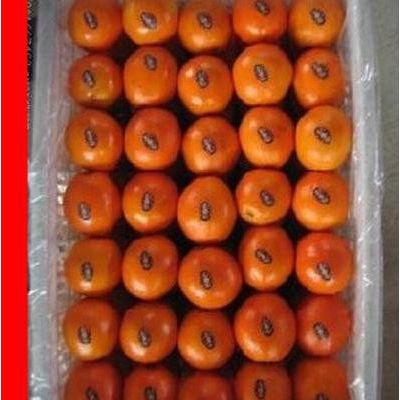 型号CF-PE防雾周转袋 PE防雾保鲜袋 蔬菜周转箱周转袋 冷藏蔬菜防雾袋图4